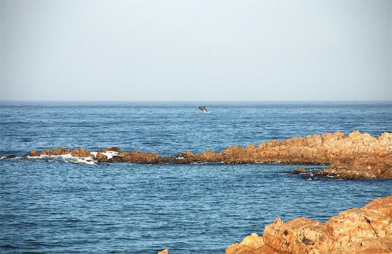 Evane Plettenberg Bay Eksteriør billede